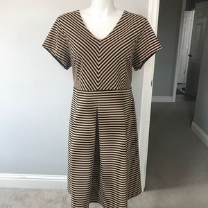 Shelby and Palmer plus dress